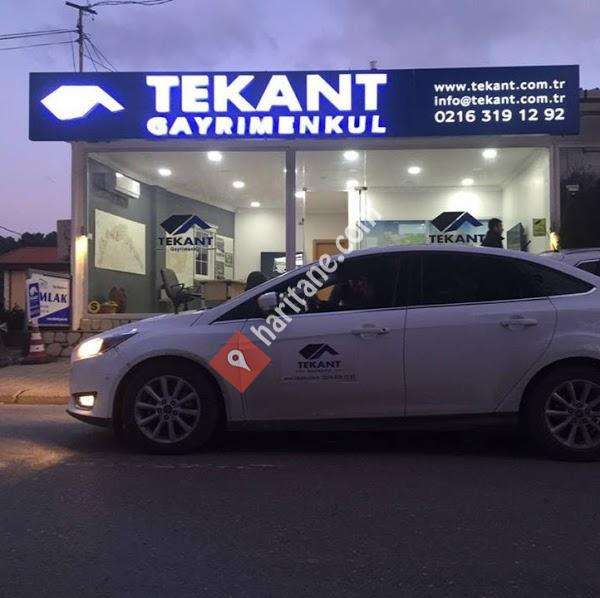 TEKANT GAYRİMENKUL (RİVA EMLAK OFİSİ)