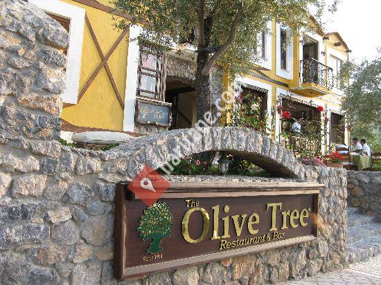 The Olive Tree Restaurant & Bar
