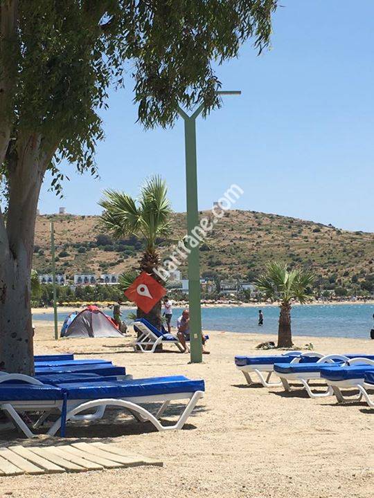 The only way is Gumbet - Bodrum Peninsula