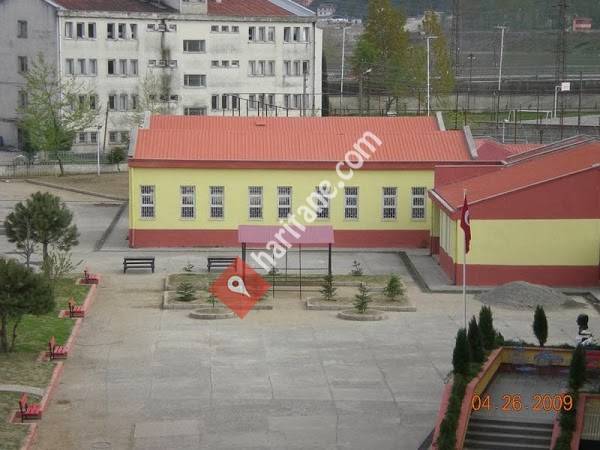 Tirebolu Mesleki ve Teknik Anadolu Lisesi
