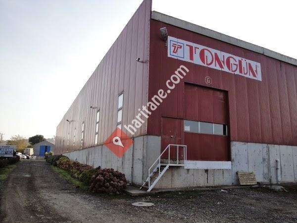 Tongun Elektrik Telekom Dogalgaz Mlz. San. ve Tic. A.S.