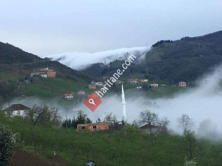 Trabzon GEÇİT köyü MAĞMAT