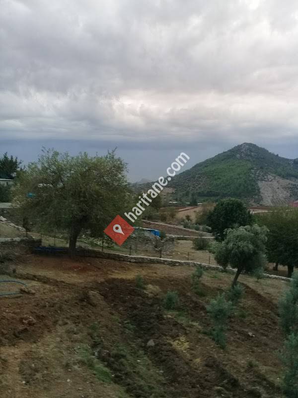 Turgutlu İlkokulu