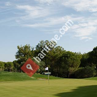 Türkiye Golf Federasyonu