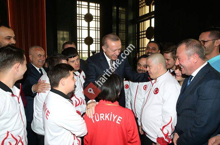 Türkiye Özel Sporcular Spor Federasyonu