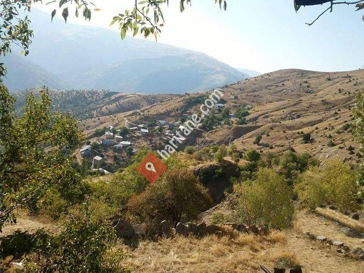 Üçpınar İlim ve Hizmet Vakfı - Diyarbakır Çüngüş Üçpınar Köyü
