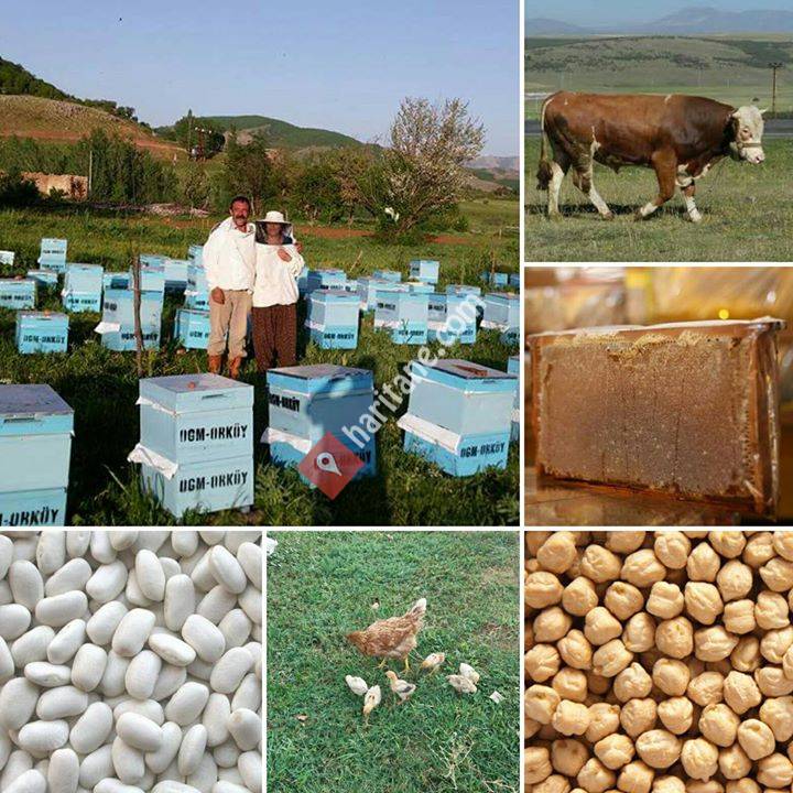 ULAŞ Organik Tarım, Hayvancılık ve Gıda Ürünleri