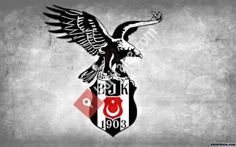 Ümraniye Beşiktaş Futbol Okulu