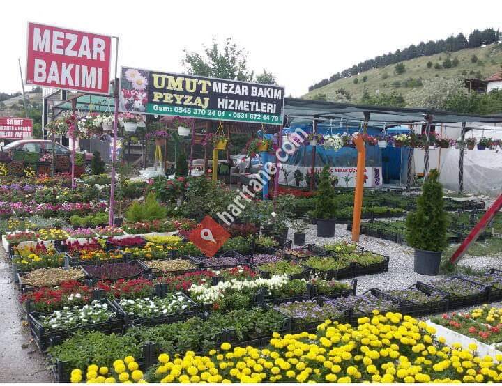 Ankara Umut Peyzaj Mezar Bakım Hizmetleri