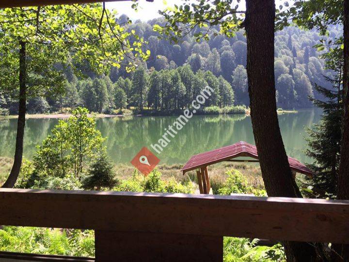 Universite Cafe Terme Terme