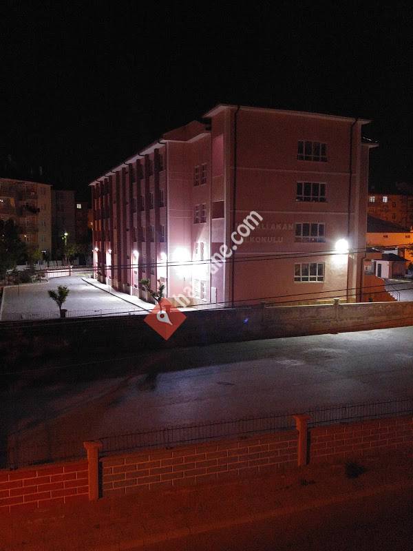 Vali Ali Akan İlkokulu