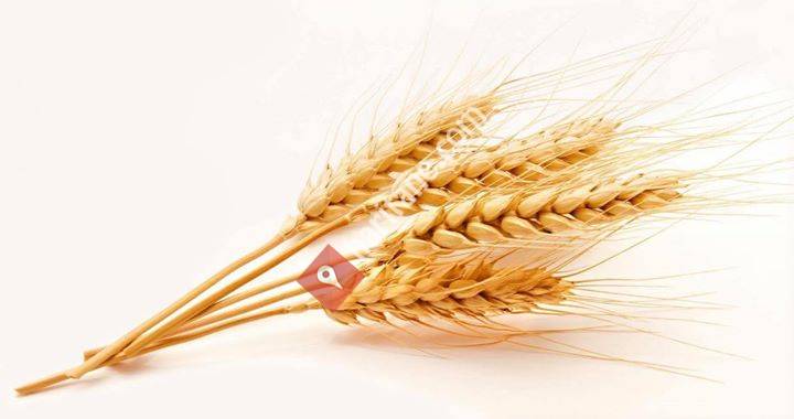 Van İl Tarım ve Orman Müdürlüğü