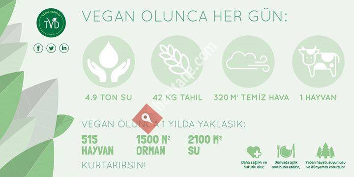 Vegan Derneği Türkiye - TVD