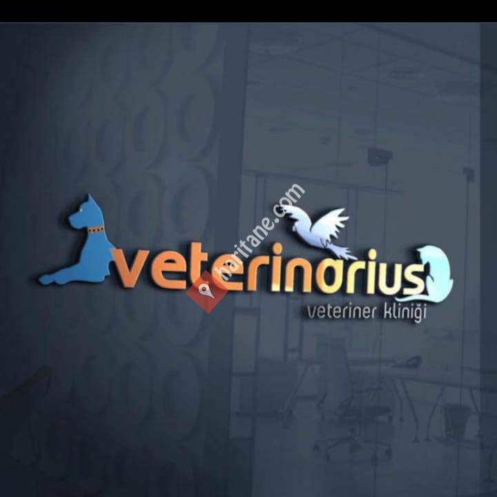 Veterinarius Veteriner Kliniği