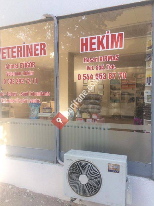 Veteriner Hekim Ahmet Eyigör
