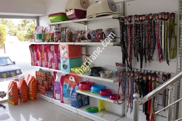 Vetline Hayvan Hastanesi Vetline Animal Hospital