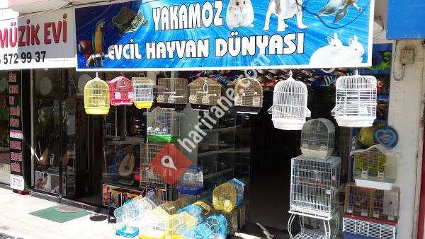Yakamoz Pet Shop