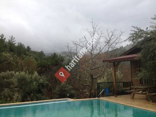 Yaşam Vadisi Yoga Ve Doğal Terapi Merkezi