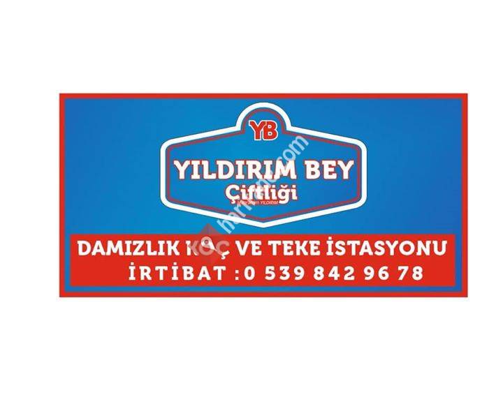 Yıldırım Damızlık Hayvan üretim& alım satım çiftliği