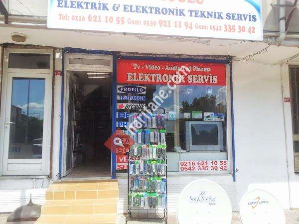 yıldız teknik elektronik servis hizmetleri 2012
