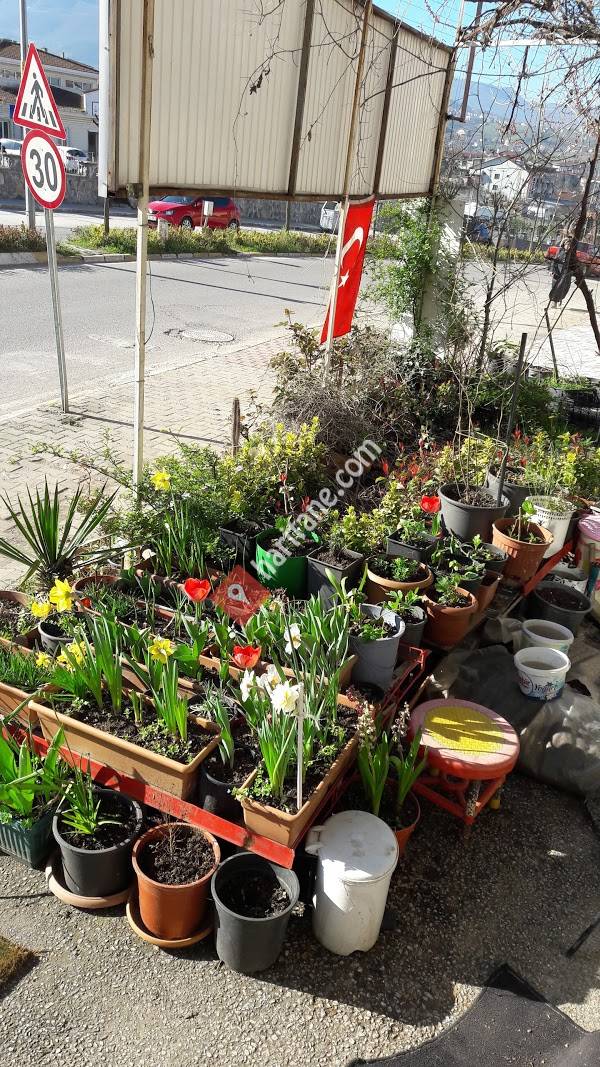 Yuvacık Emlak ve Gayrimenkul Danışmanlığı